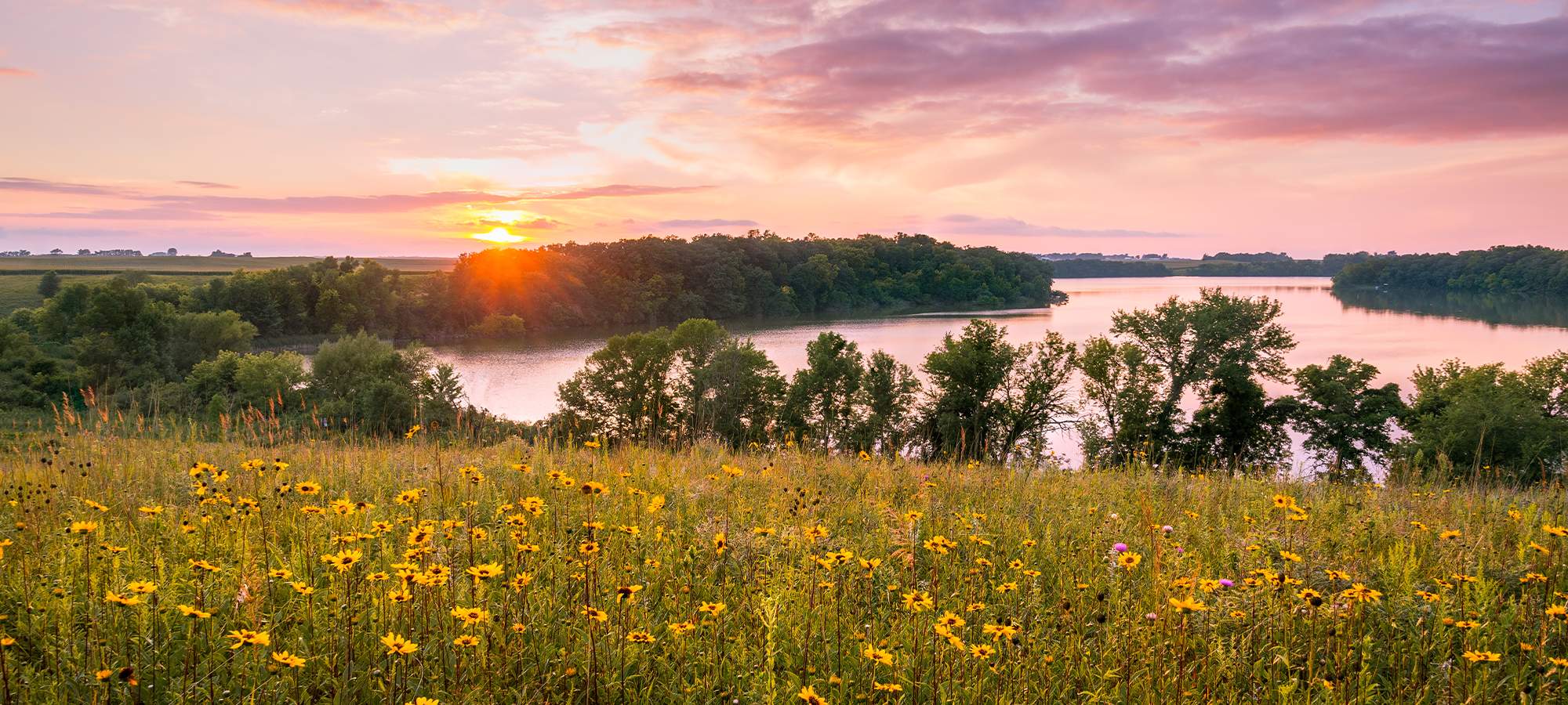 Root Canal Safety Highland Village TX, Village Endodontics