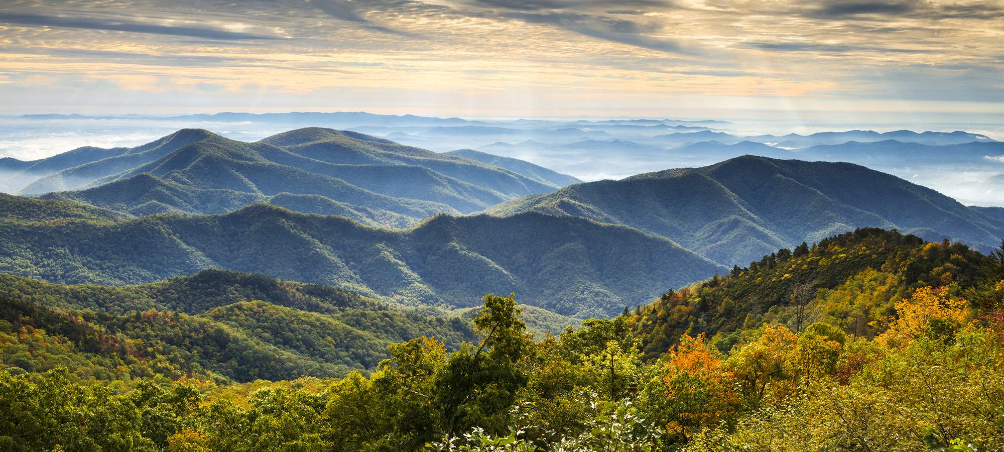 Root Canal Safety Highland Village TX, Village Endodontics