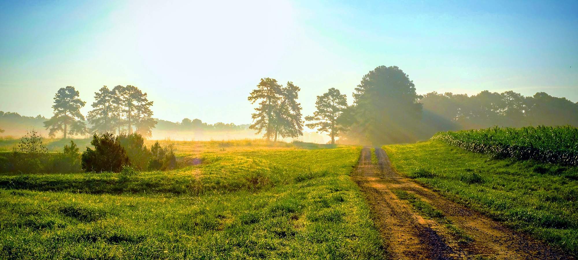 Root Canal Safety Highland Village TX, Village Endodontics